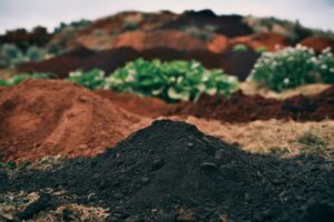 Best Soil Types for Your Garden